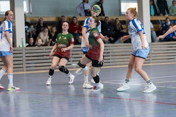 Bild 234 - F HSG Kremperheide/Muensterdorf - ATSV Stockelsdorf 2 : Ergebnis: 47:32